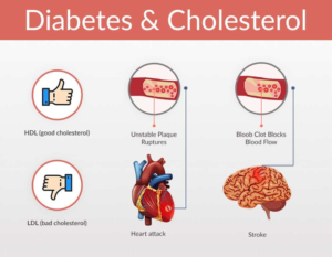 Graphic showing HDL vs LDL and how cholesterol and diabetes interact.