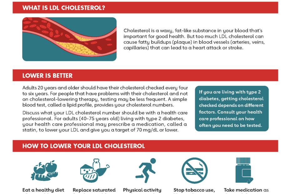 Illustration: LDL cholesterol role and risk explanation for people with type 2 diabetes.