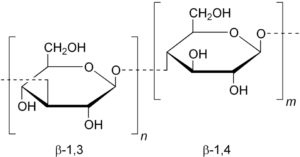Beta-glucan molecular structure explaining oatmeal and cholesterol benefits.”