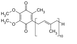 Structural formula of coenzyme Q10 (ubiquinone)