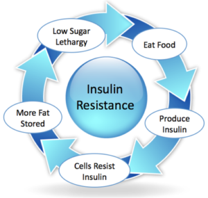 “Cycle: Eat food → produce insulin → cells resist → more free fat stored → low sugar lethargy etc.”