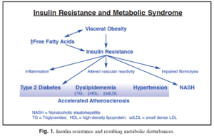 “Flow chart linking elevated free fatty acids, visceral obesity, insulin resistance to dyslipidemia and hypertension”