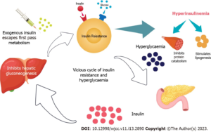 “Effect of elevated blood sugar on blood vessels and tissue damage”