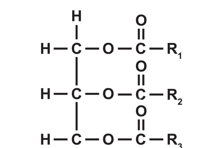 Basic triglyceride molecular structure