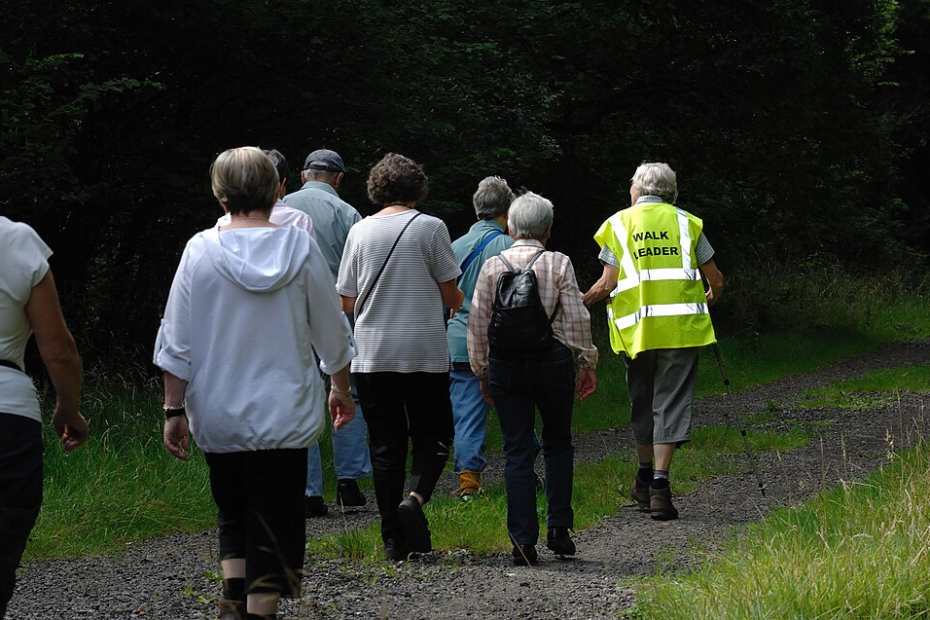 “Group of adults brisk-walking together outdoors in a park.