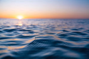 Soft morning sunlight scene supporting circadian body clock alignment