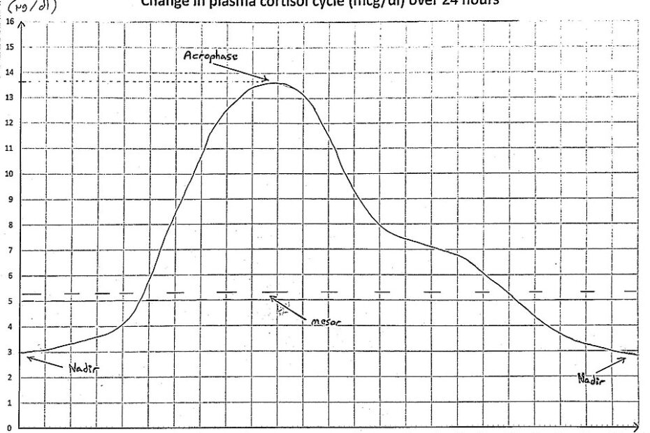 Graph of the 24-hour circadian cycle of plasma cortisol showing a morning peak and nighttime low.