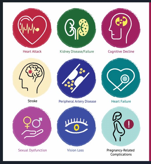 “Animated diagram showing organs affected by high blood pressure: brain, eyes, heart, kidneys, arteries.”