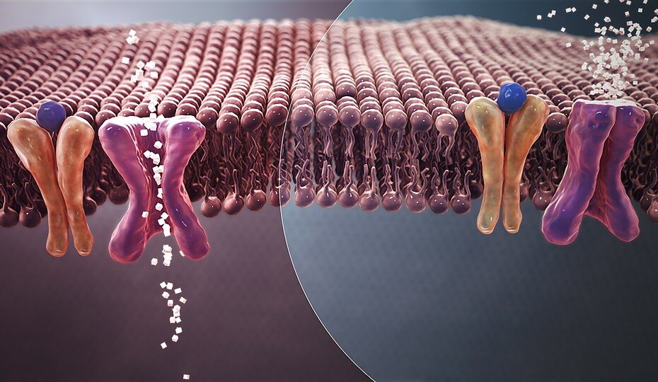 “Diagram: insulin resistance in type 2 diabetes vs normal glucose uptake”