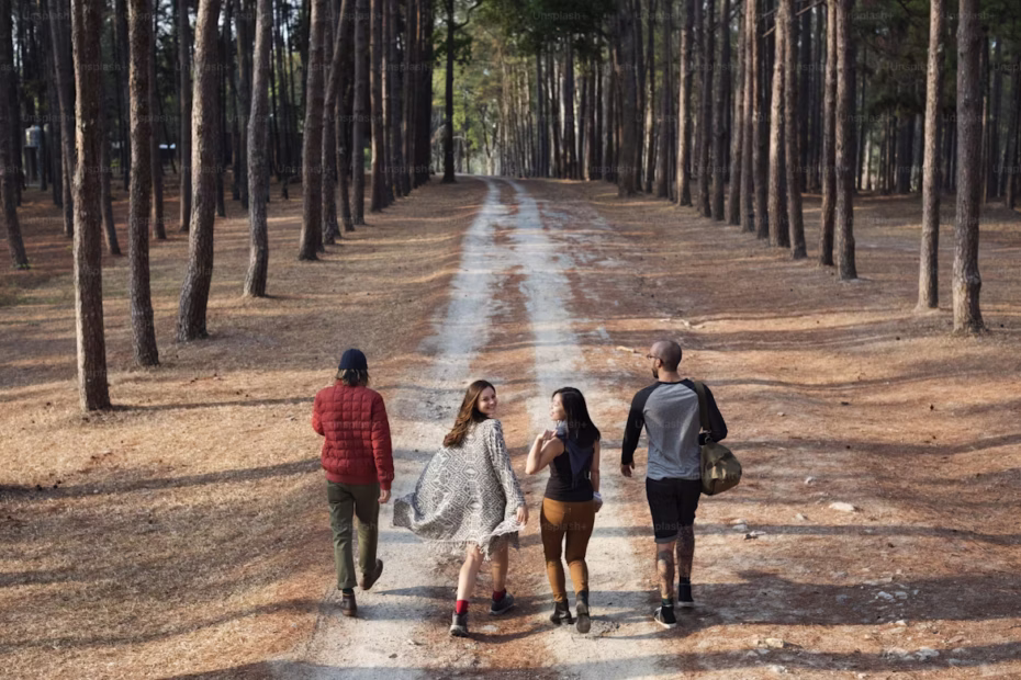 Group of friends walking together on a forest path, symbolizing connection and shared activity.