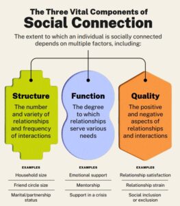 Graphic outlining the three components of social connection: structure, function, and quality.