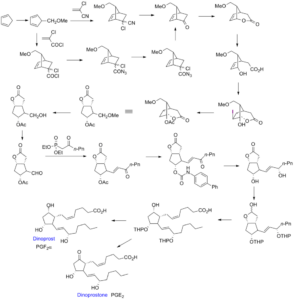 Diagram of COX pathway and prostaglandin synthesis targeted by NSAIDs like ibuprofen