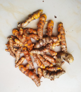 “Fresh turmeric roots and slices.”