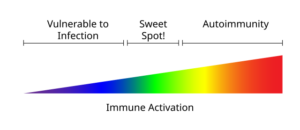 Clinical illustration showing the five stages of inflammation: redness, heat, swelling, pain, and loss of function.