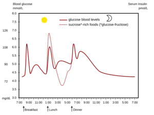 Idealized daily blood glucose profile highlighting the early-morning rise