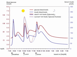 Daily glucose and insulin curves showing fasting vs post-meal response for dawn phenomenon context