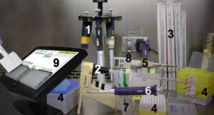 Laboratory pipettes arranged on a rack in a research lab