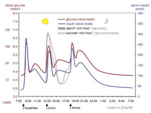 Graph of post-meal blood sugar and insulin showing overshoot and crash