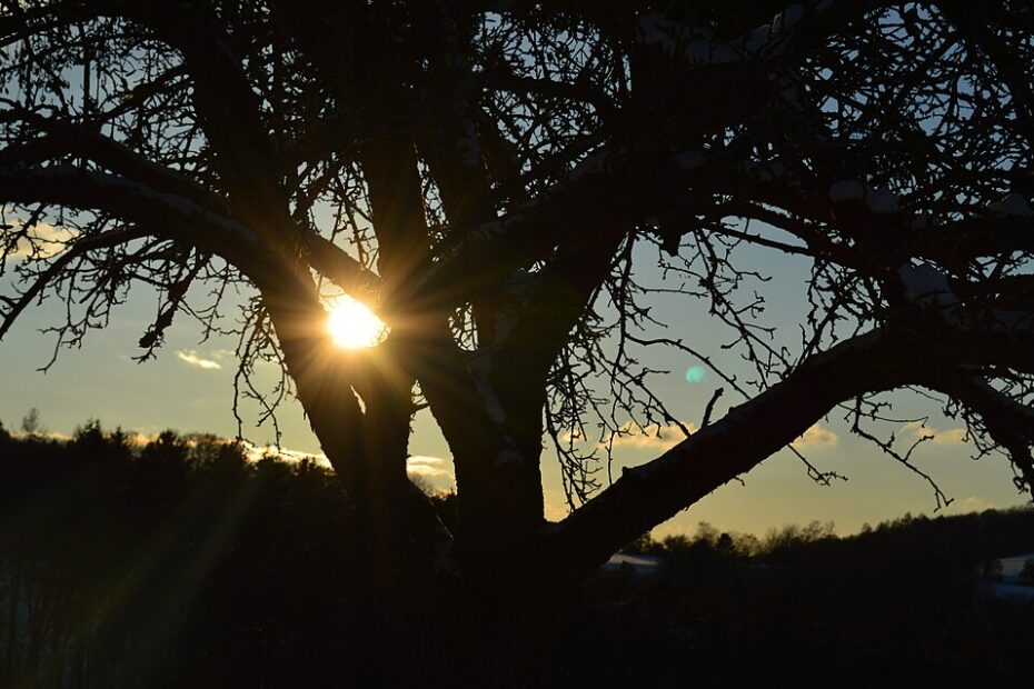 Sunlight streaming through open hands symbolizing vitamin D and health